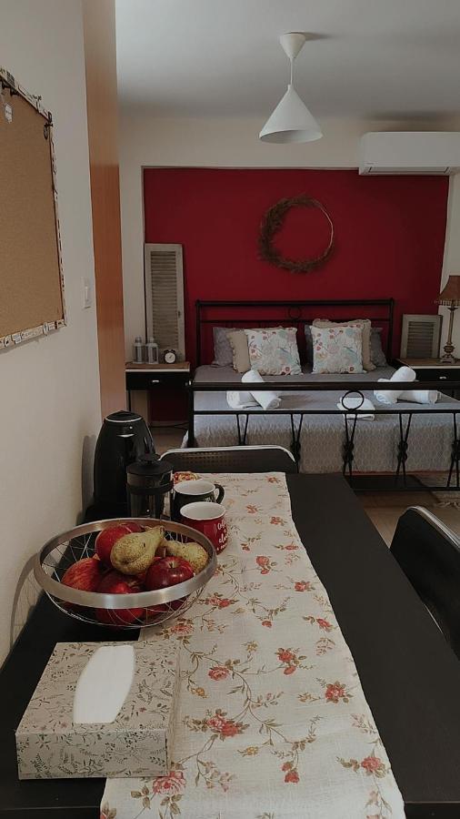 Appartement Amaltheia Studio à Ioannina Extérieur photo